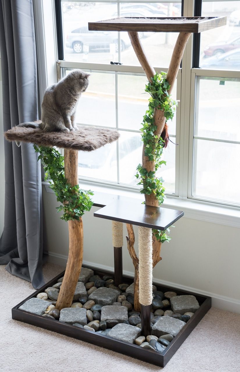 Домашнее дерево для кошки